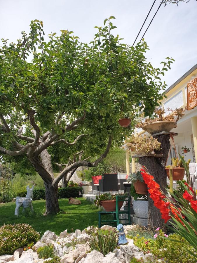 Apartmani I Sobe Jusic Ραμπ Εξωτερικό φωτογραφία